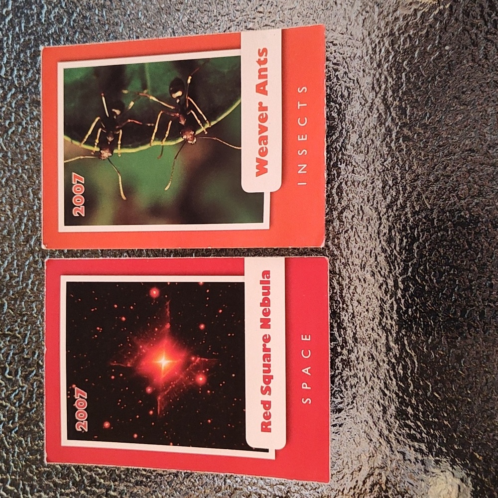 Buckle Down Publishing - Science Trading Cards - 2007 - Set of 2 - GUC